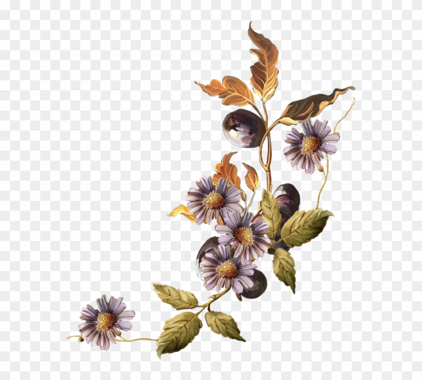 Bokmxe4rke - Purple Chrysanthemum - Bokmxe4rke - Purple Chrysanthemum #804895