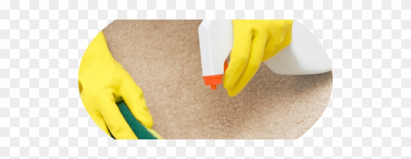 Find The Perks Of Hiring A Pro, To Clean Your Commercial - Cleaning And Stain Removal For Dummies, Mini Edition #805033