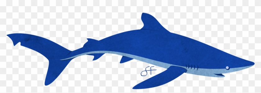 Requiem Sharks Great White Shark Blue Shark Pyjama - Blue Shark #805153