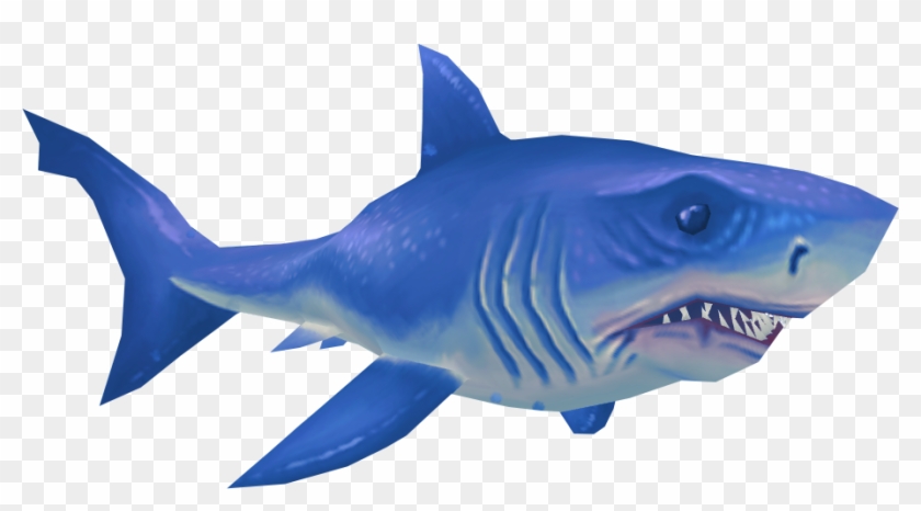 Great White Shark - Great White Shark #805202