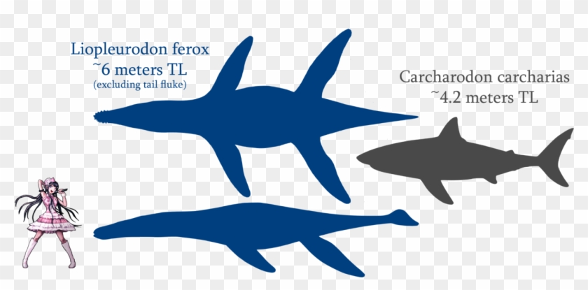 Liopleurodon And Great White Size Comparison By Spinoinwonderland - Crocodile Vs Great White Shark #805203