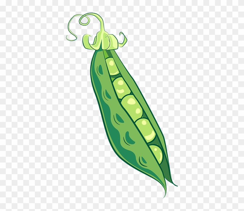 Pink Peas Cliparts - Vegetable #805239