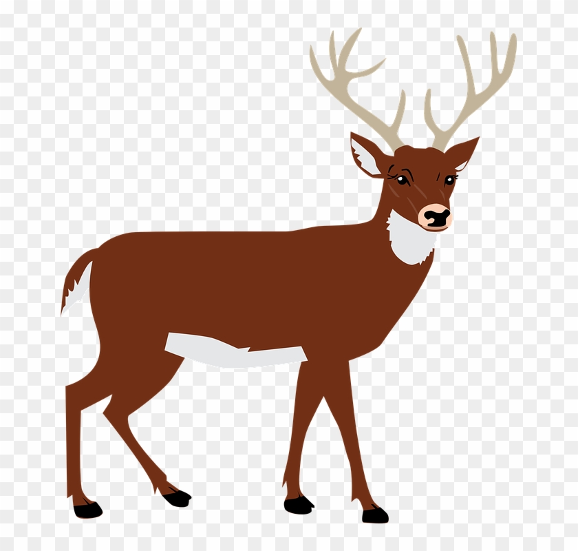Collection Of Reindeer Cliparts Side - Deer Silhouette Png #805319