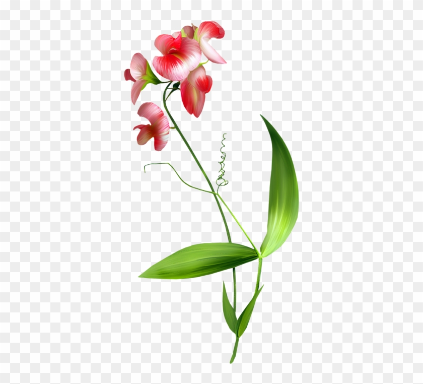 Flower Blume Clip Art Flower Blume Clip Art Free Transparent Png Clipart Images Download