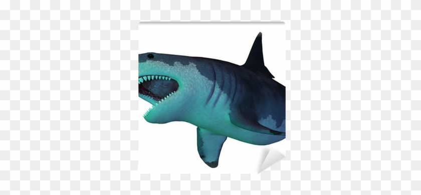 Shark From The Cenozoic Era #805390