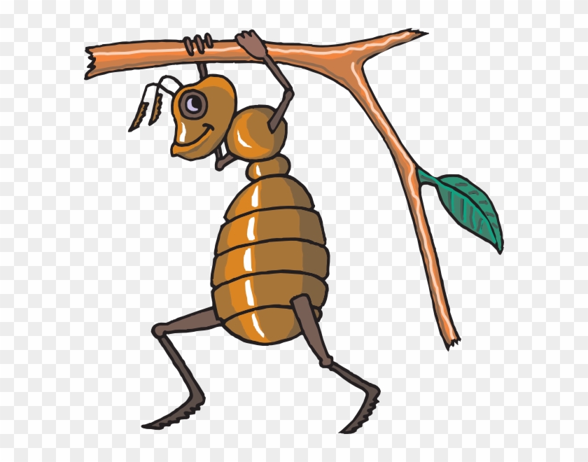 Free Vector Bee #805409