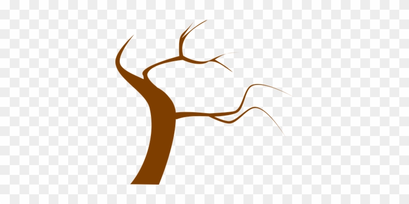 Tree, Brown, Branch, Twig, Twisty - Dead Tree Clip Art #805415