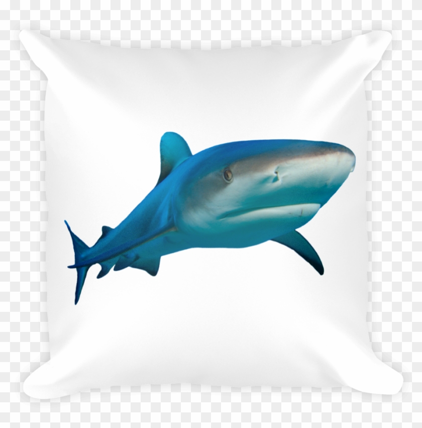 Great White Shark Print Square Pillow - Great White Shark #805443