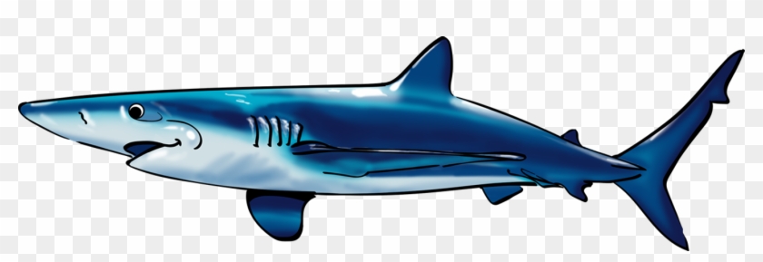 Simon The Shark - Tiger Shark #805460