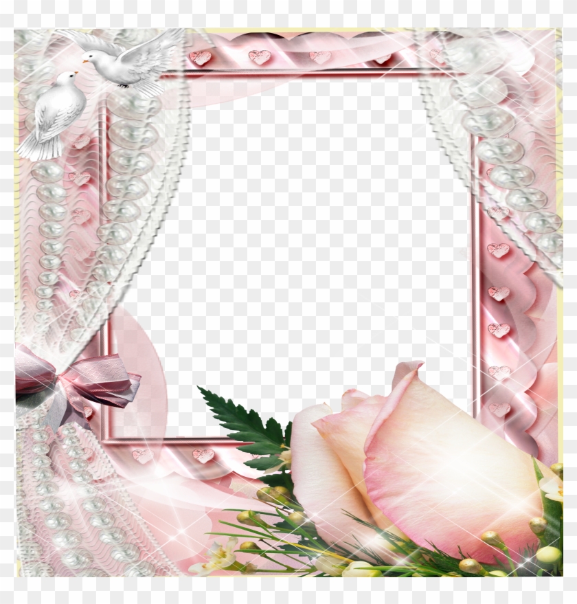 Create Photo Frames Online Beautiful Flowers Source - Pink Roses And Pearls Background #805582