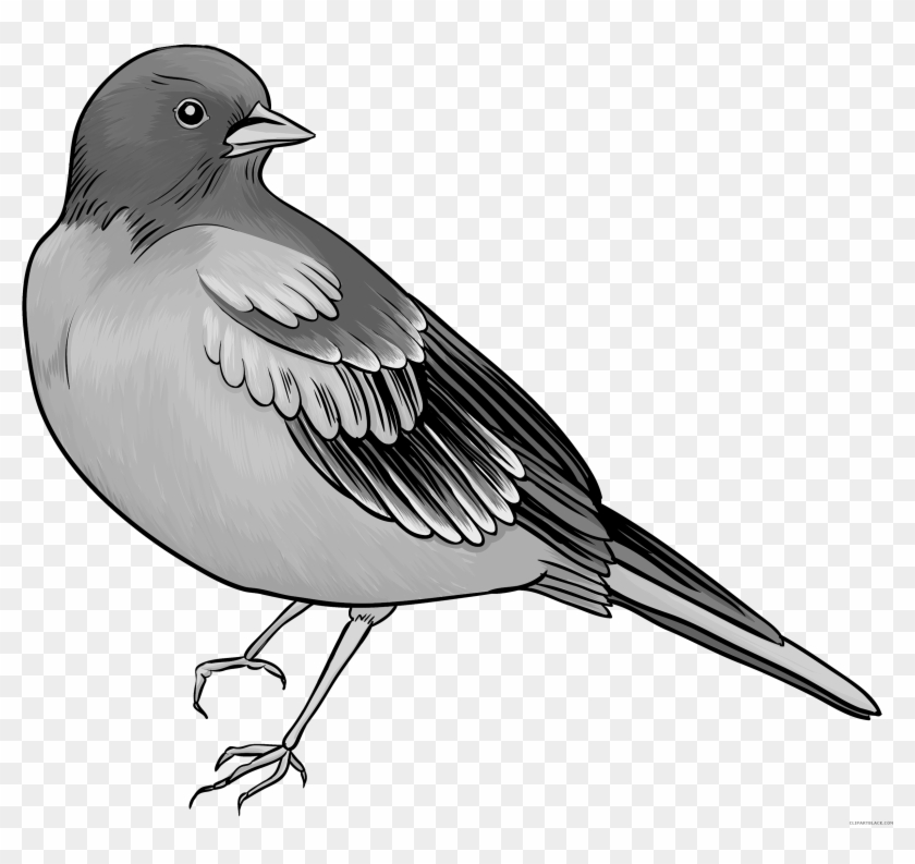 Amazing Bird Animal Free Black White Clipart Images - Clip Art #805630