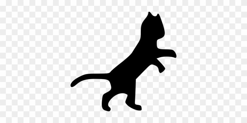 Cat Feline Pet Black Silhouette Leaping An - Dancing Cat Clip Art #805631