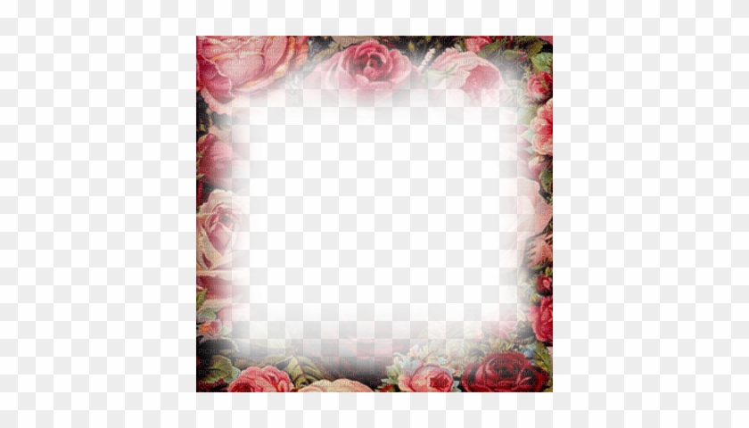 Vintage Flower Border Png Soave Frame Vintage Transparent - Red Flower Photo Frame Png #805639