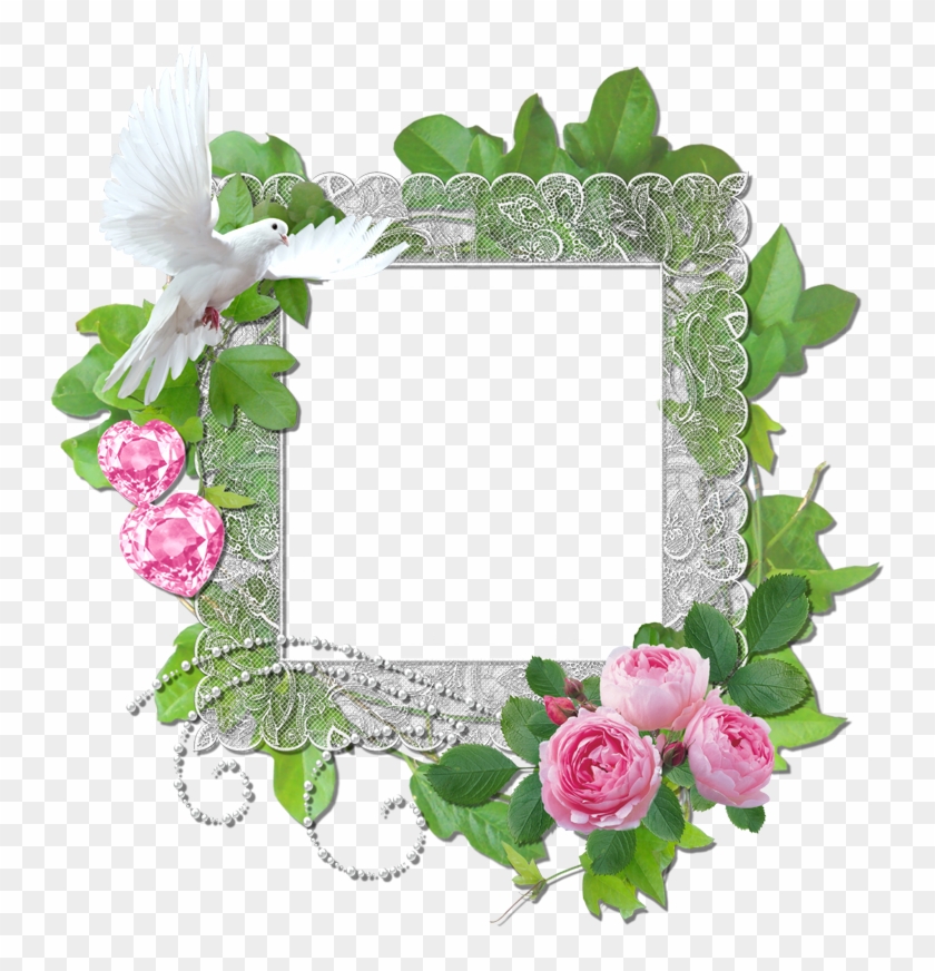 Pink Roses Cluster Frames - Picture Frame #805733