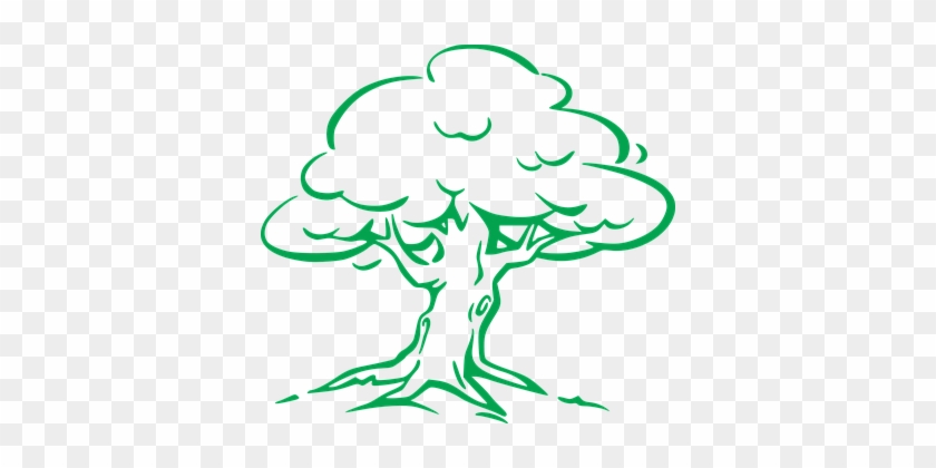 Oak, Tree, Eco, Ecology, Environment - Oak Tree Drawing Easy #806120