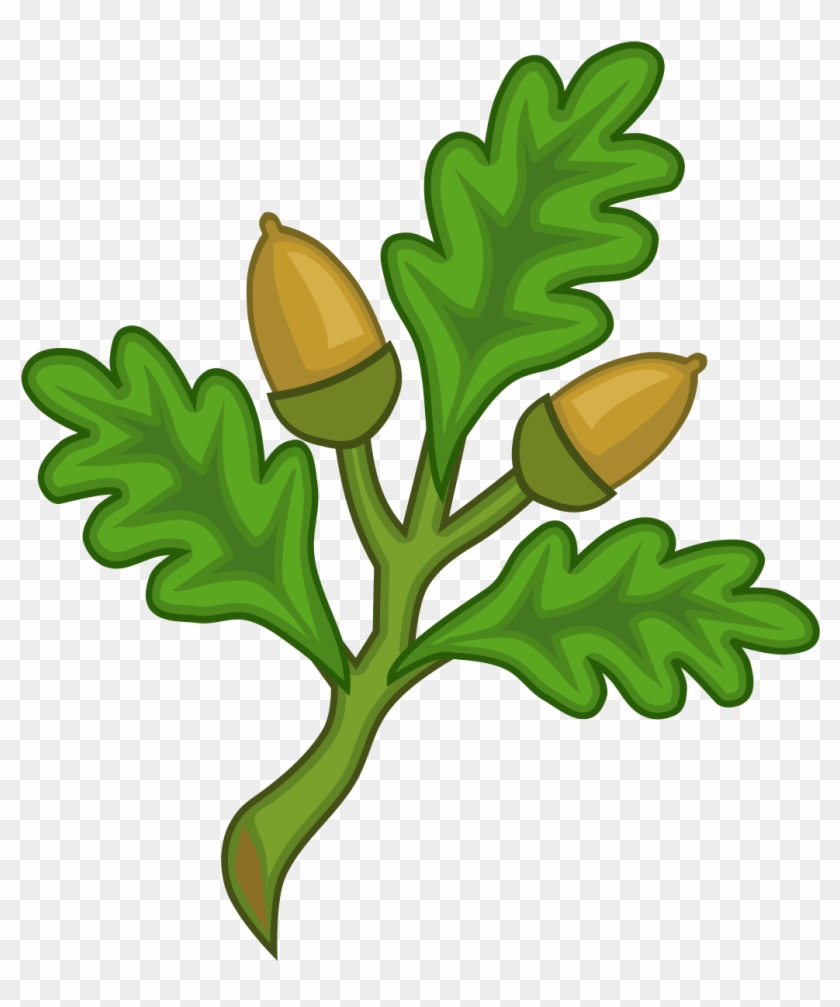 Sprig Of Oak Heraldry #806127