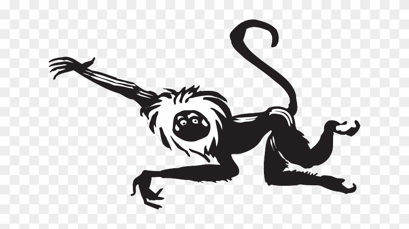 Fur Monkey, Black, White, Art, Leaping, Animal, Tail, - Gambar Monyet Hitam Putih #806133