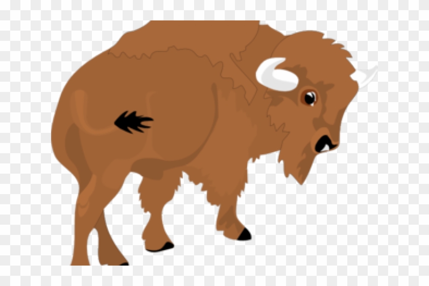 Bison Clipart Yak - Cartoon Bison #806356