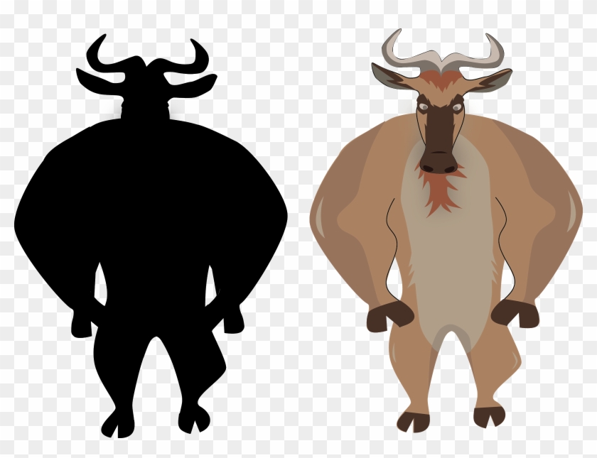 Shapes I Wanted By This Point - Bull #806580