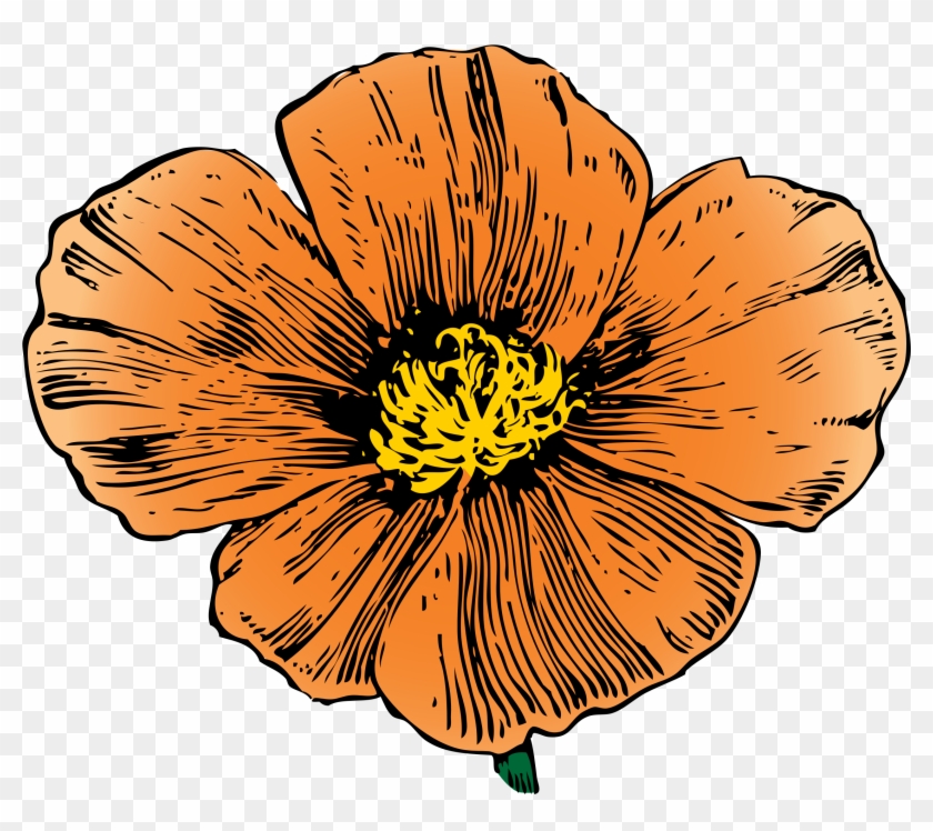 Big Image - California Poppy Png #806673