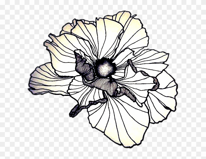 Poppy Poppyflower Drawing Lines - Tattoo #806721