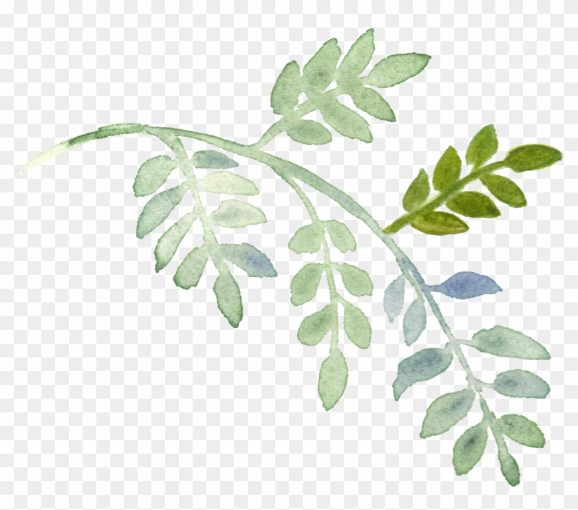 Plant Download Watercolor Painting - Water Color Flowers And Greenery -  Free Transparent PNG Clipart Images Download
