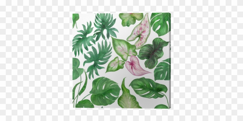 Watercolor Painting Seamless Pattern With Tropical - Watercolor Painting #807007
