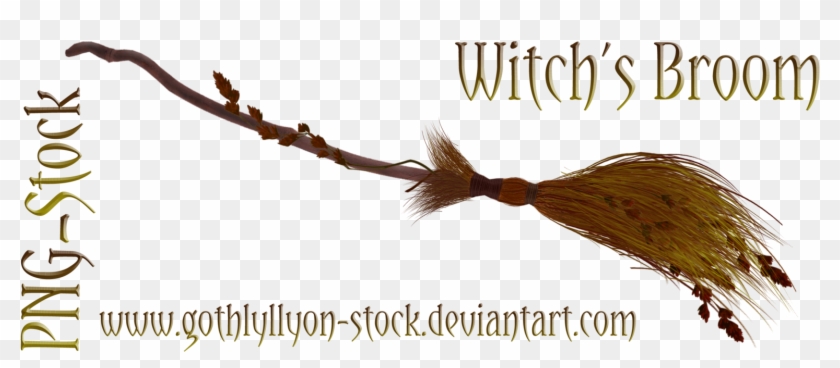 Witch's Broom By Gothlyllyon Stock By Gothlyllyon Sotck - Witch Broom Transparent Background #807104