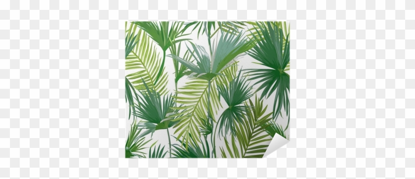 Tropical Palm Leaves, Jungle Leaves Seamless Vector - Palm Leaf #807145