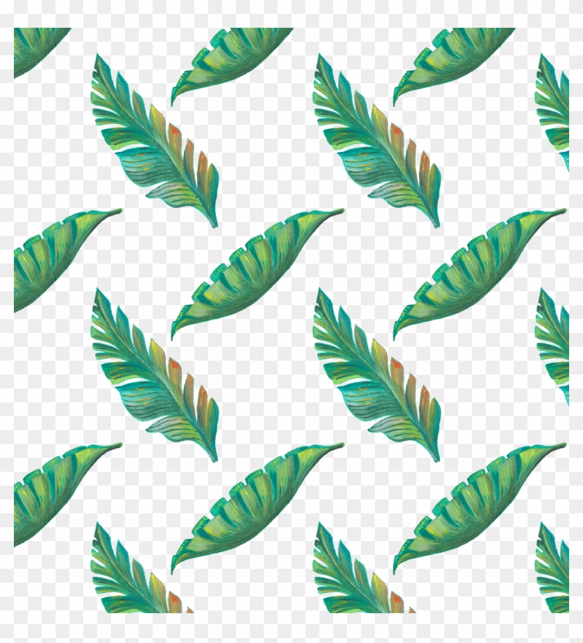 Leaf Tropics Drawing - Drawn Tropical Pattern Png #807168