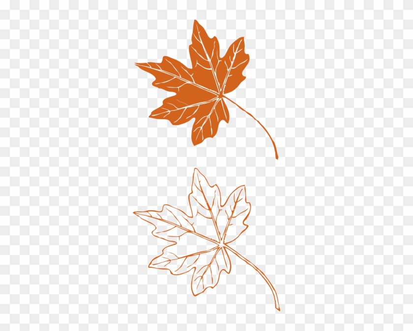 Fall Leaves Clip Art #807175