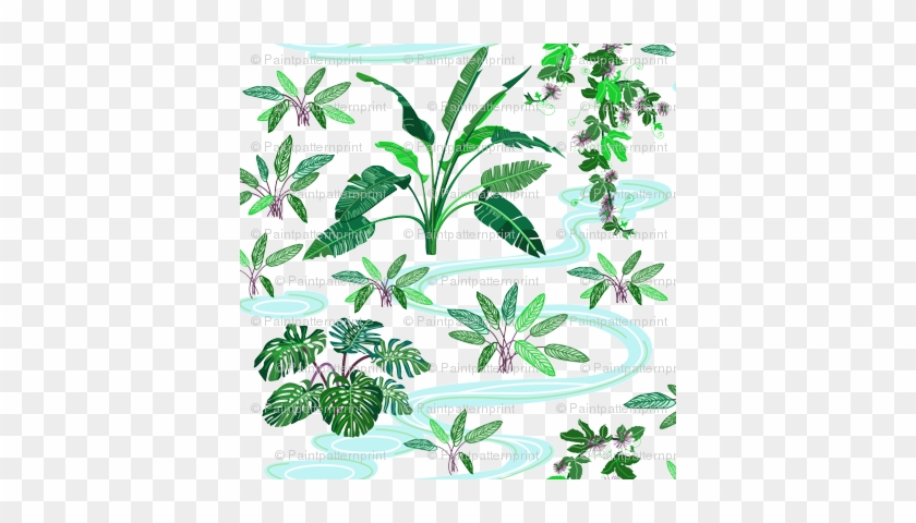 Tropical Plants Png Tropical Plant Wallpaper - Spoonflower #807244