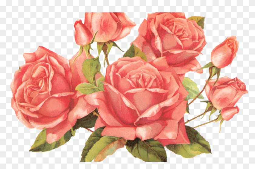 Rose Vintage Png #807305