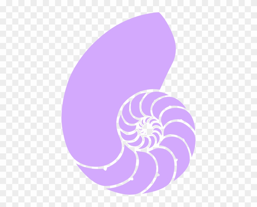 Purple Nautilus Shell Clip Art At Clker - Purple Sea Shell Png #807307