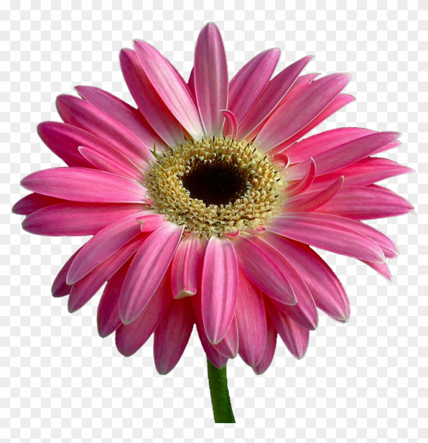 Bible Fine Motor Skill Child God - Bible Fine Motor Skill Child God #807556