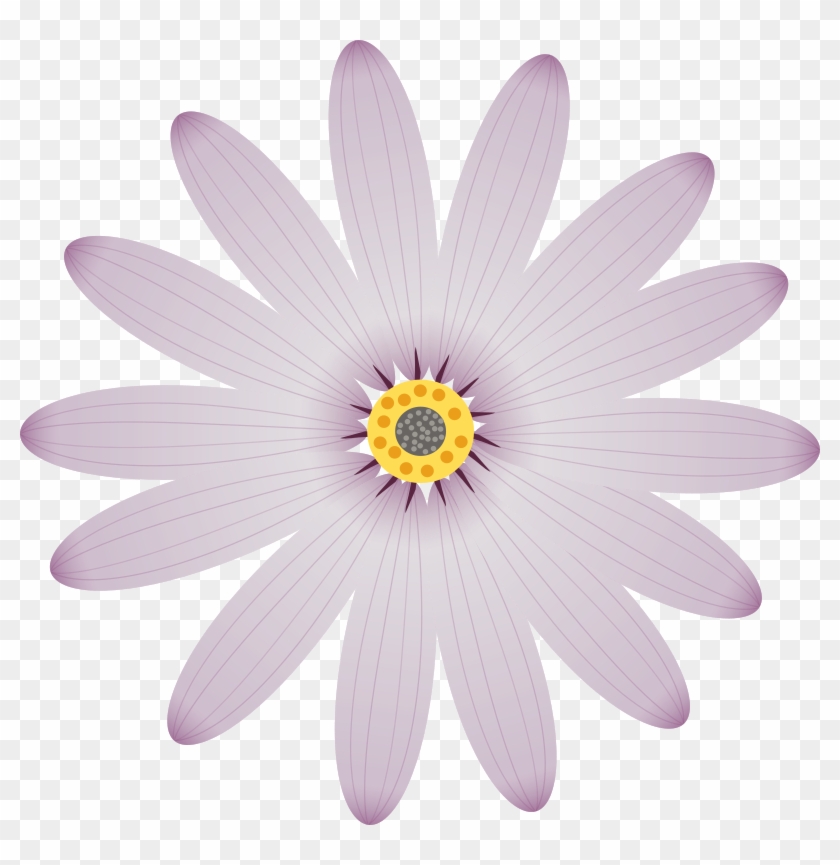 Medium Image - Portable Network Graphics #807621