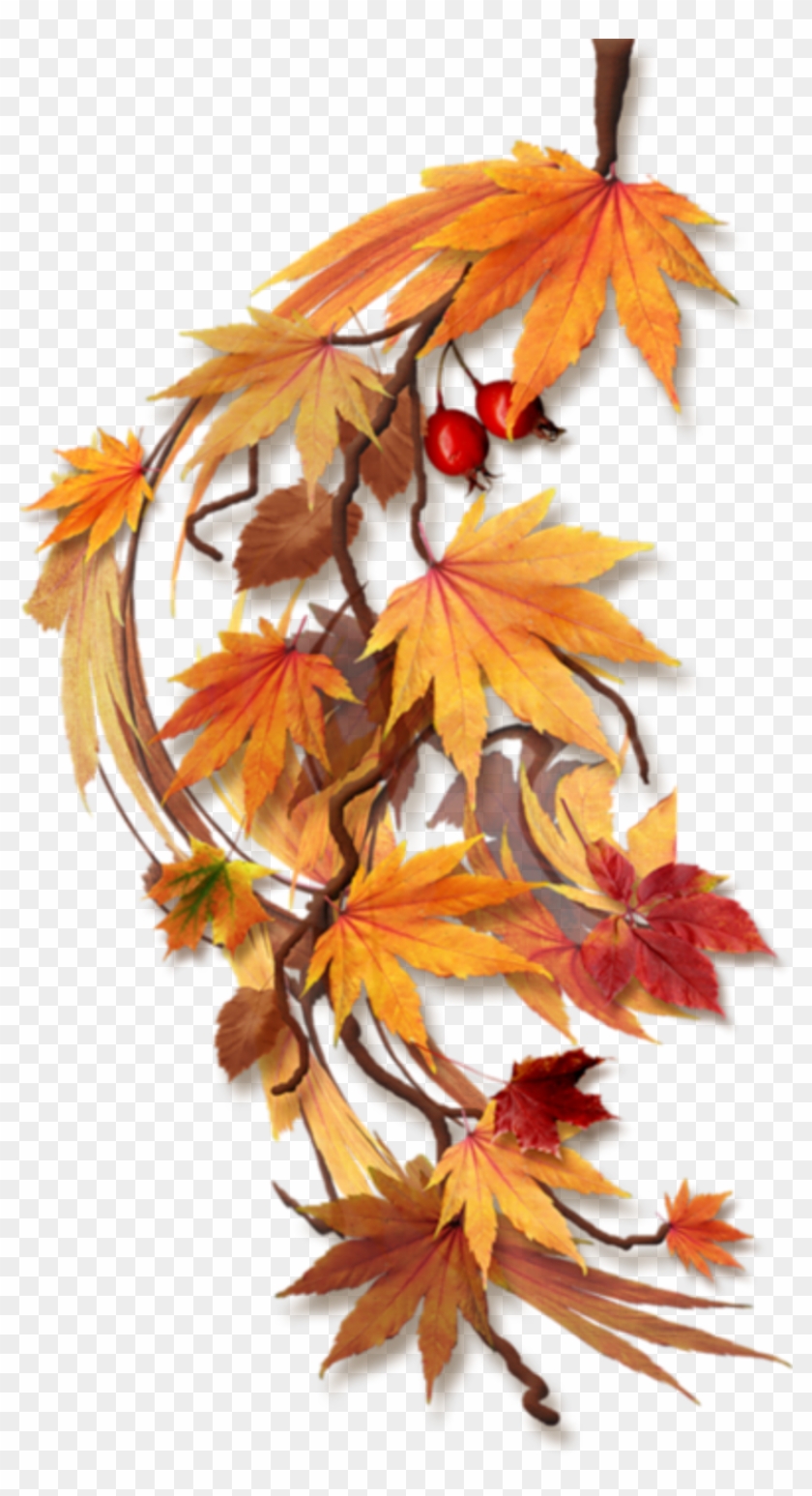 Oie 16171815w3yspzyi - Autumn Flowers Png #807770