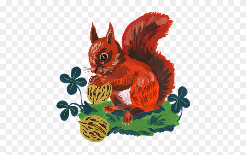 Squirrel Illustration - Nathalie Lete Squirrel #807775