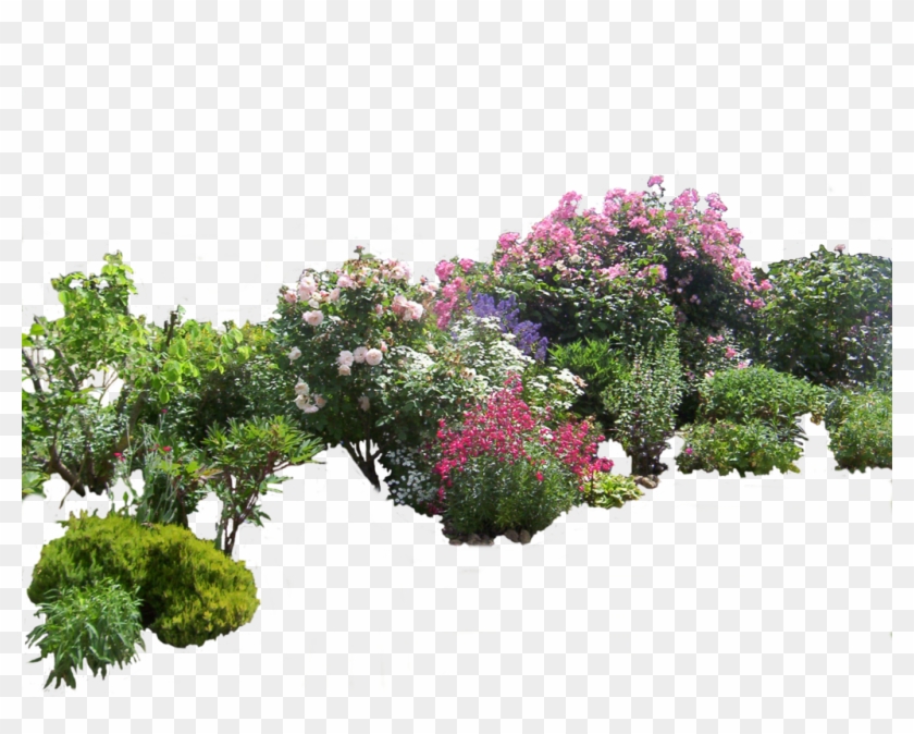 Flowered Garden Png 03 By *montvalentstock On Deviantart - Flowered Garden Png 03 By *montvalentstock On Deviantart #807792