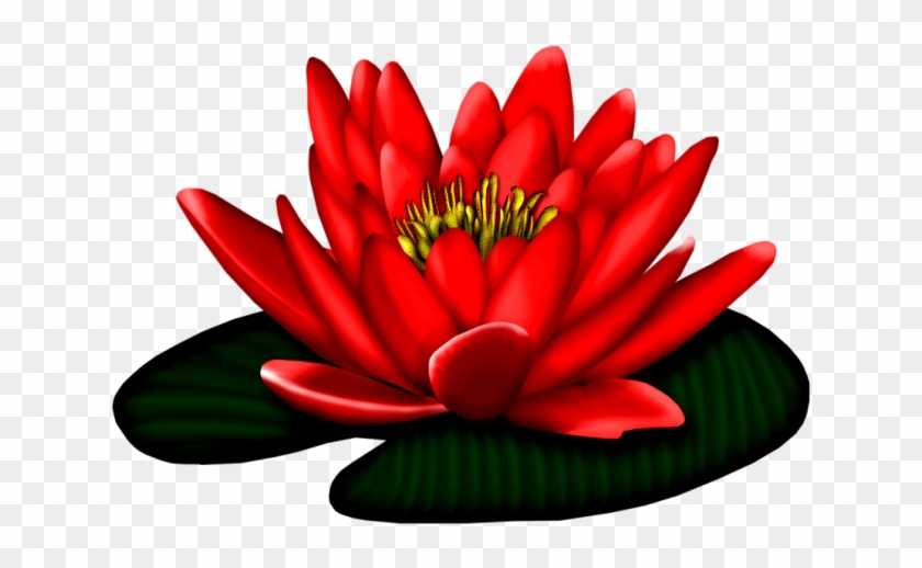 Lotuses - Jardins Com Mensagens De Boa Noite #807797