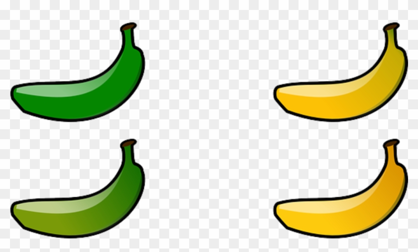 Why You Should Eat Green Bananas - Why You Should Eat Green Bananas #807805