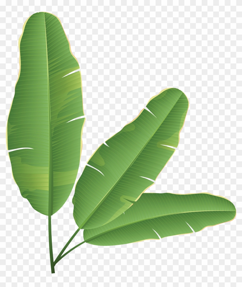 Banana Leaf Banana Bread Clip Art - Banana Leaves Clip Art #807819