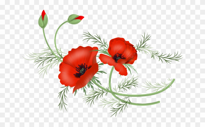 Vector Poppy Png - Poppy #807964