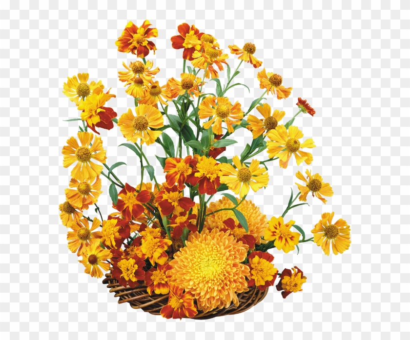 Flower Clip Art - Flower Clip Art #808063