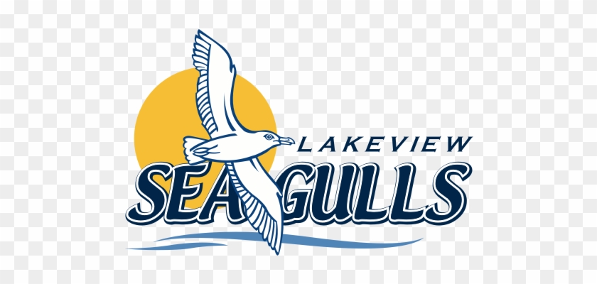 Primary School #808062