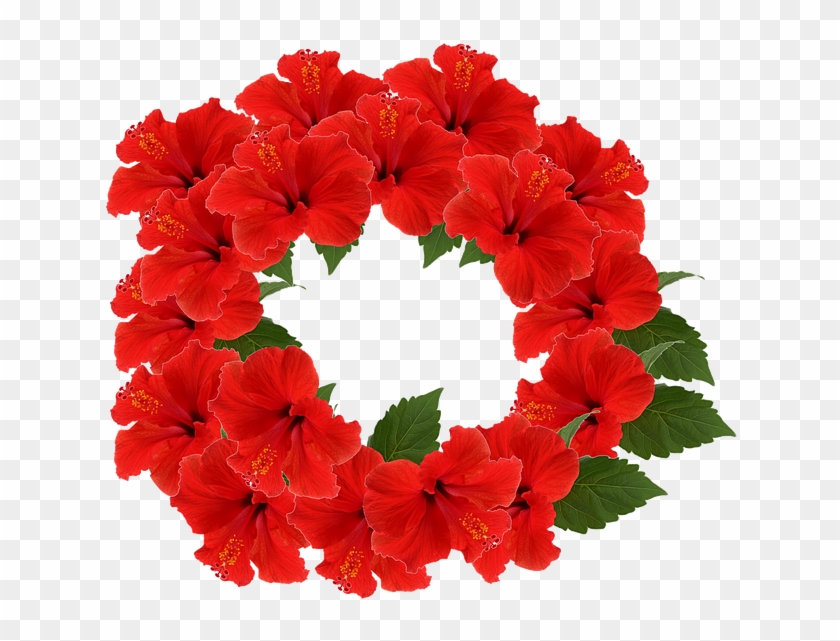 Transparent Flower Crown Red - Flower #808267