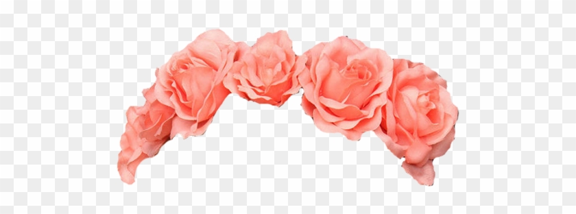 Image - Flower Crown Pink Png #808294