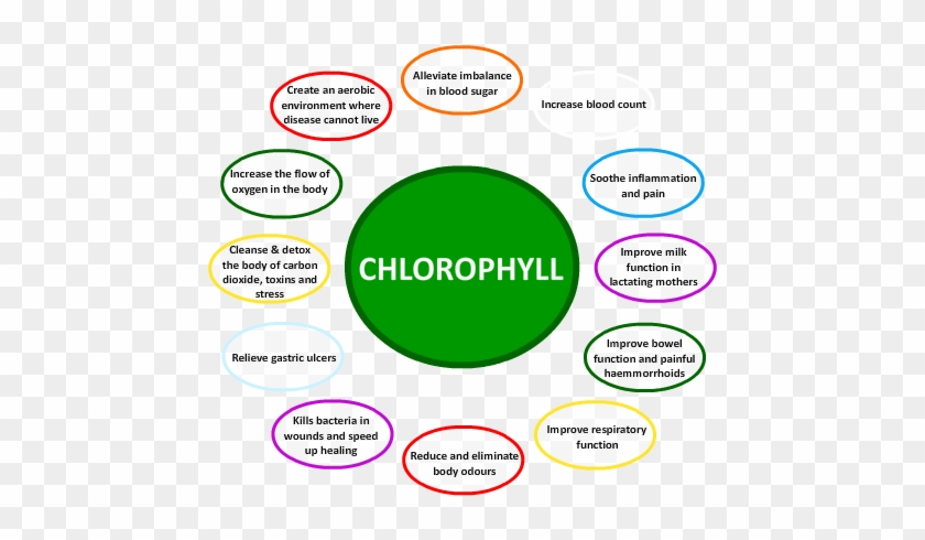 Falling In Love With A Chlorophyll-rich Diet - Chlorophyll Works #808310