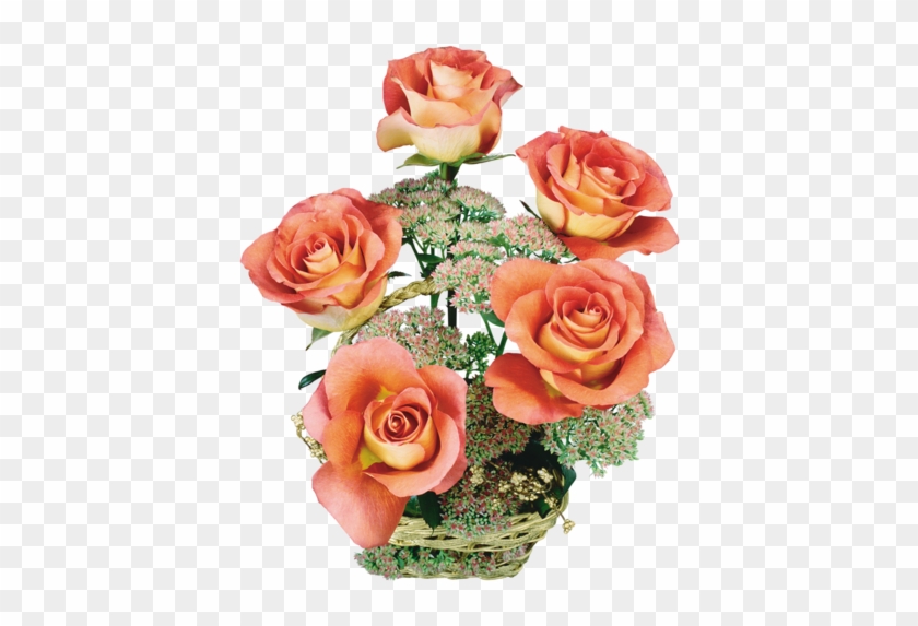 Orange Roses In Baskets, - (16+) Цветочные Композиции И Букеты #808441