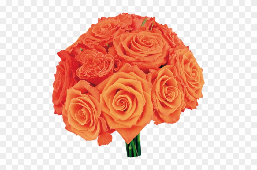 Orange Roses In Bouquets - Фото #808444
